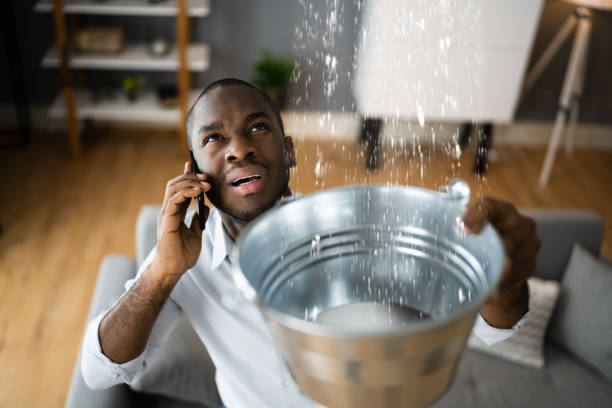 Best 24/7 water damage repair  in Mesa, AZ