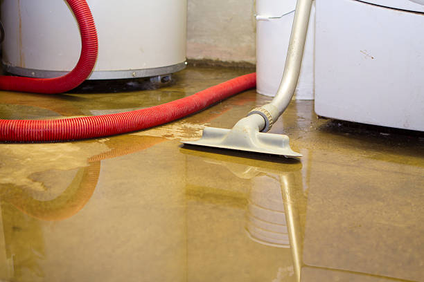 Best Water damage restoration services  in Mesa, AZ