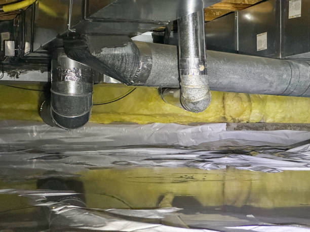 Best Carpet water damage restoration  in Mesa, AZ