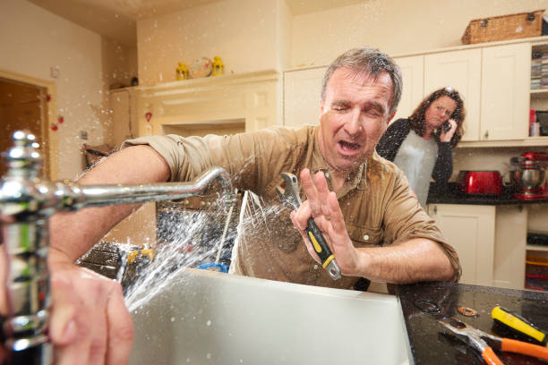 Best Local water damage restoration  in Mesa, AZ